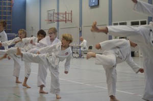 Bilder Zeitung Karate Lehrgang Beelen Dojo Kamakura (10)